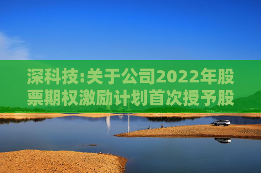 深科技:关于公司2022年股票期权激励计划首次授予股票期权第一个行权期行权条件成就的公告  第1张