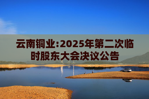 云南铜业:2025年第二次临时股东大会决议公告