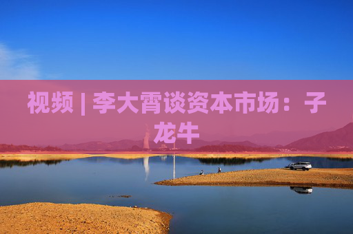 视频 | 李大霄谈资本市场：子龙牛