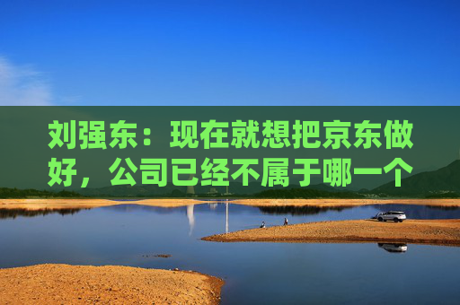 刘强东：现在就想把京东做好，公司已经不属于哪一个人了  第1张