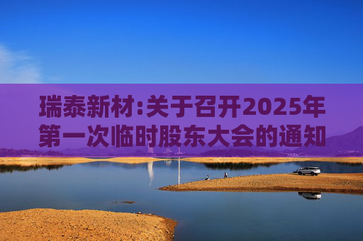 瑞泰新材:关于召开2025年第一次临时股东大会的通知