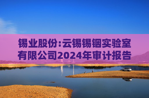 锡业股份:云锡锡铟实验室有限公司2024年审计报告  第1张