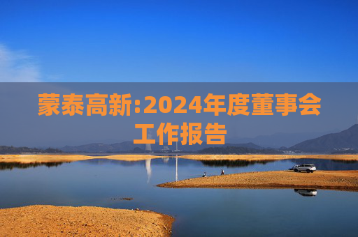 蒙泰高新:2024年度董事会工作报告  第1张