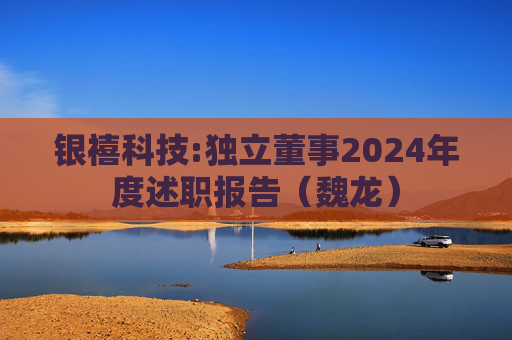 银禧科技:独立董事2024年度述职报告（魏龙）  第1张