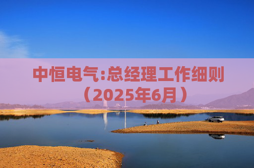 中恒电气:总经理工作细则（2025年6月）  第1张