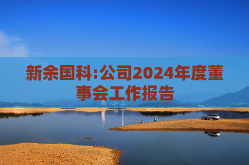 新余国科:公司2024年度董事会工作报告