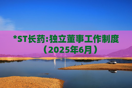 *ST长药:独立董事工作制度（2025年6月）