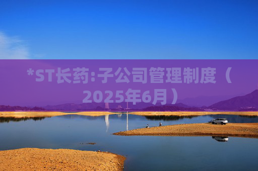 *ST长药:子公司管理制度（2025年6月）