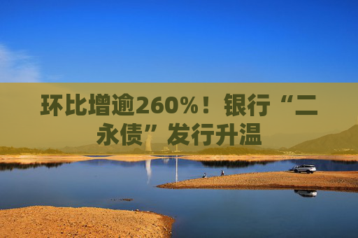 环比增逾260%！银行“二永债”发行升温
