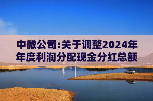 中微公司:关于调整2024年年度利润分配现金分红总额的公告  第1张