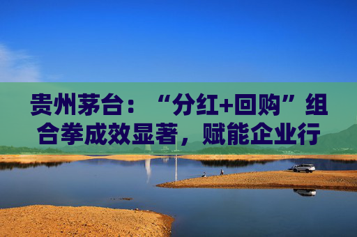 贵州茅台：“分红+回购”组合拳成效显著，赋能企业行稳致远