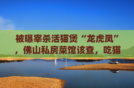 被曝宰杀活猫煲“龙虎凤”，佛山私房菜馆该查，吃猫狗的食俗也须反思 | 新京报微评