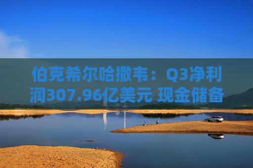 伯克希尔哈撒韦：Q3净利润307.96亿美元 现金储备达3816.7亿美元