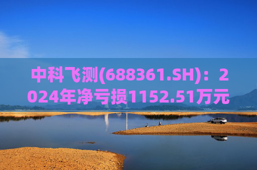 中科飞测(688361.SH)：2024年净亏损1152.51万元