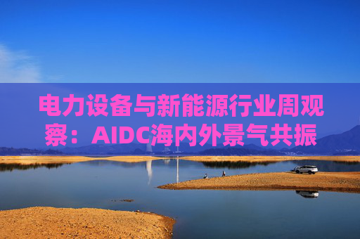 电力设备与新能源行业周观察：AIDC海内外景气共振 储能需求向好发展