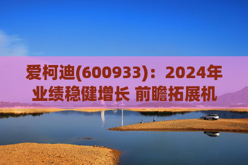 爱柯迪(600933)：2024年业绩稳健增长 前瞻拓展机器人相关业务