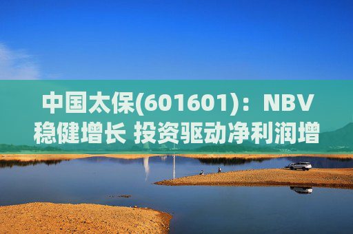 中国太保(601601)：NBV稳健增长 投资驱动净利润增速提升