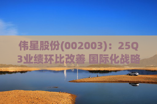 伟星股份(002003)：25Q3业绩环比改善 国际化战略保障成长