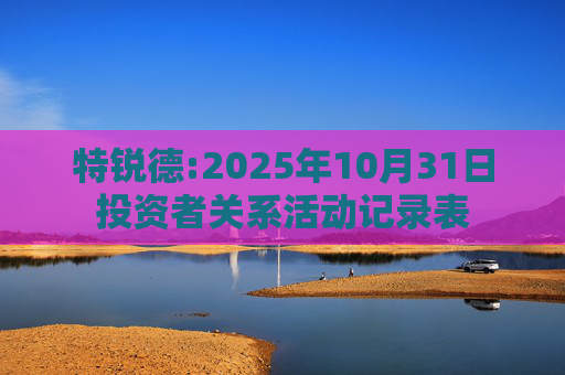 特锐德:2025年10月31日投资者关系活动记录表