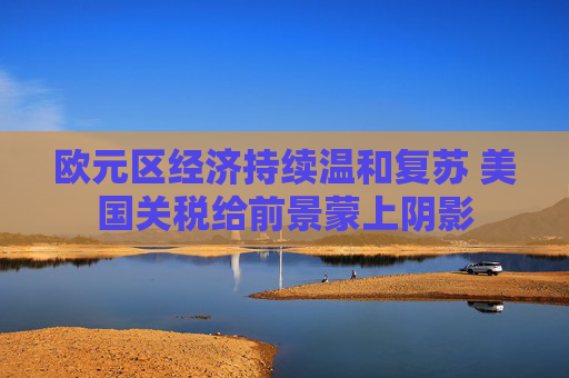 欧元区经济持续温和复苏 美国关税给前景蒙上阴影  第1张