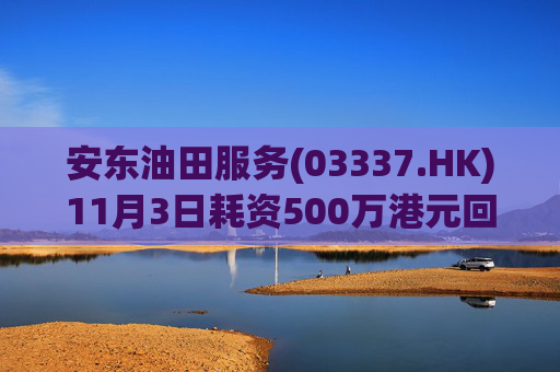 安东油田服务(03337.HK)11月3日耗资500万港元回购472万股  第1张