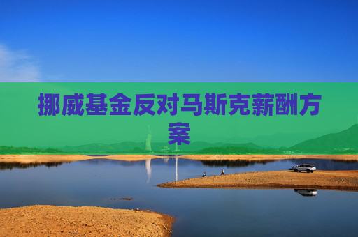 挪威基金反对马斯克薪酬方案  第1张