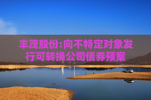 丰茂股份:向不特定对象发行可转换公司债券预案