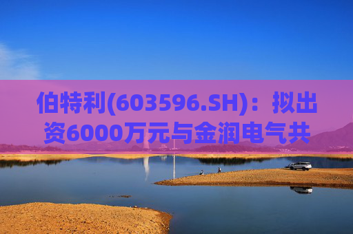 伯特利(603596.SH)：拟出资6000万元与金润电气共同投资并设立伯特利驱动