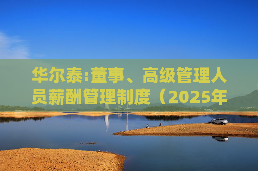 华尔泰:董事、高级管理人员薪酬管理制度（2025年11月）  第1张