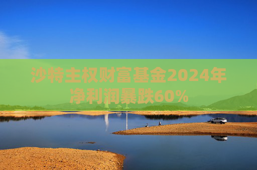 沙特主权财富基金2024年净利润暴跌60%  第1张