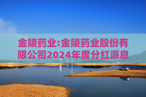 金陵药业:金陵药业股份有限公司2024年度分红派息实施公告