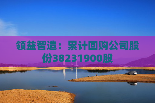 领益智造:累计回购公司股份38231900股