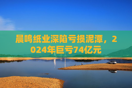 晨鸣纸业深陷亏损泥潭，2024年巨亏74亿元