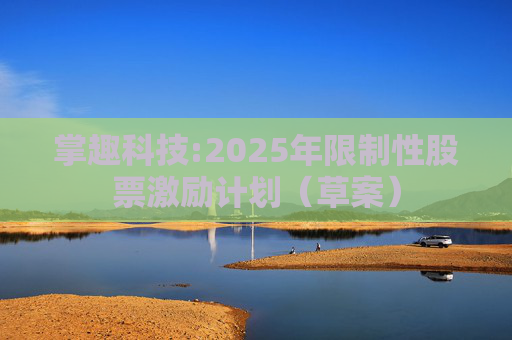 掌趣科技:2025年限制性股票激励计划（草案）