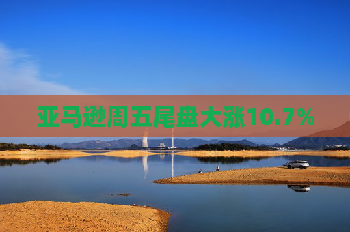 亚马逊周五尾盘大涨10.7%