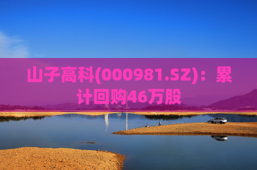 山子高科(000981.SZ)：累计回购46万股  第1张