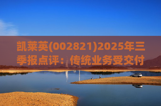凯莱英(002821)2025年三季报点评：传统业务受交付节奏影响 新兴业务加速放量
