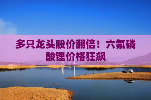 多只龙头股价翻倍！六氟磷酸锂价格狂飙