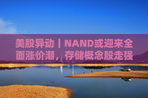 美股异动丨NAND或迎来全面涨价潮，存储概念股走强