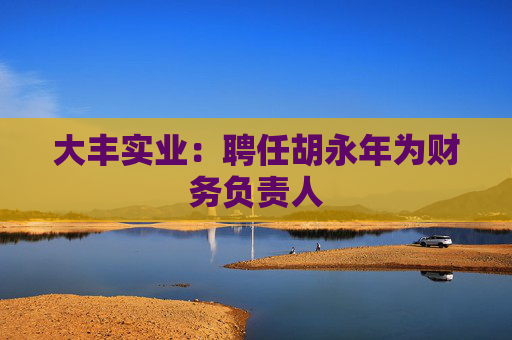 大丰实业：聘任胡永年为财务负责人  第1张