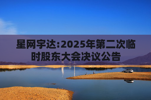 星网宇达:2025年第二次临时股东大会决议公告