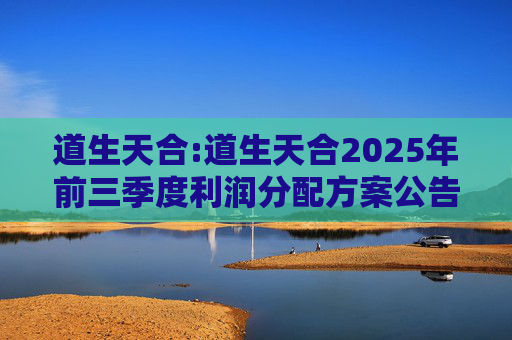 道生天合:道生天合2025年前三季度利润分配方案公告  第1张
