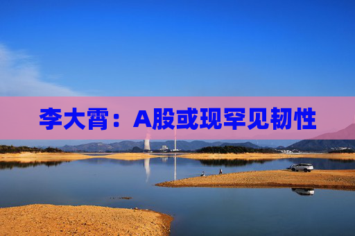 李大霄：A股或现罕见韧性