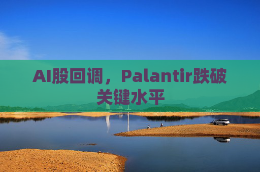 AI股回调，Palantir跌破关键水平