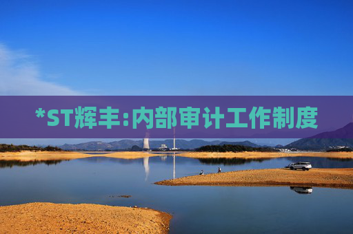 *ST辉丰:内部审计工作制度  第1张