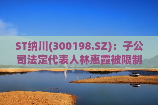 ST纳川(300198.SZ)：子公司法定代表人林惠霞被限制高消费