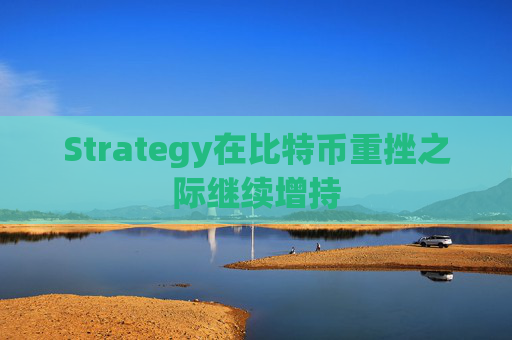 Strategy在比特币重挫之际继续增持  第1张