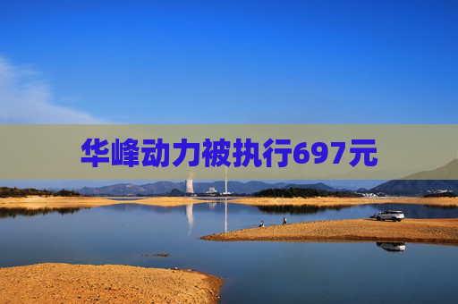 华峰动力被执行697元