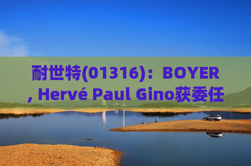 耐世特(01316)：BOYER, Hervé Paul Gino获委任为执行董事