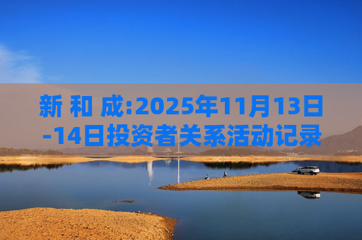 新 和 成:2025年11月13日-14日投资者关系活动记录表
